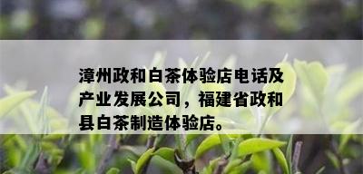 漳州政和白茶体验店电话及产业发展公司，福建省政和县白茶制造体验店。