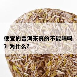 便宜的普洱茶真的不能喝吗？为什么？