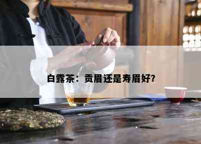 白露茶：贡眉还是寿眉好？