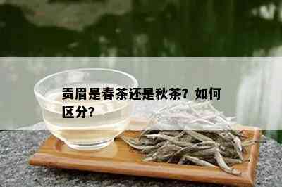 贡眉是春茶还是秋茶？如何区分？