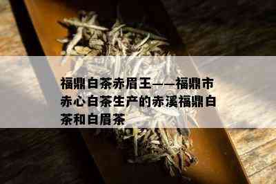 福鼎白茶赤眉王——福鼎市赤心白茶生产的赤溪福鼎白茶和白眉茶