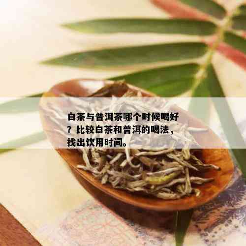 白茶与普洱茶哪个时候喝好？比较白茶和普洱的喝法，找出饮用时间。