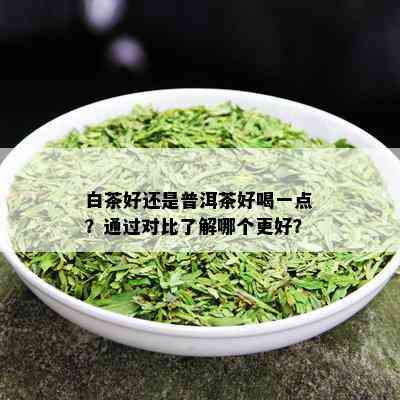 白茶好还是普洱茶好喝一点？通过对比了解哪个更好？