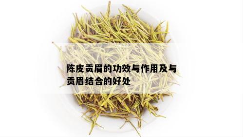 陈皮贡眉的功效与作用及与贡眉结合的好处