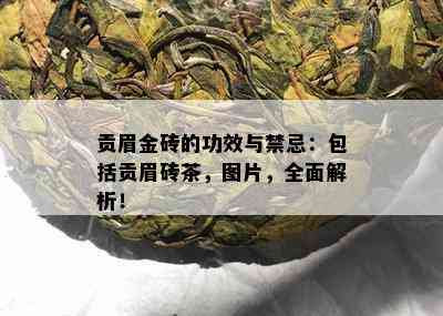 贡眉金砖的功效与禁忌：包括贡眉砖茶，图片，全面解析！