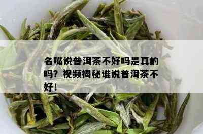 名嘴说普洱茶不好吗是真的吗？视频揭秘谁说普洱茶不好！