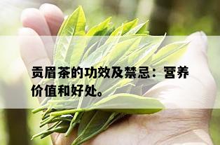 贡眉茶的功效及禁忌：营养价值和好处。