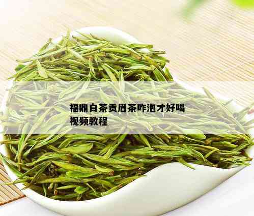 福鼎白茶贡眉茶咋泡才好喝视频教程