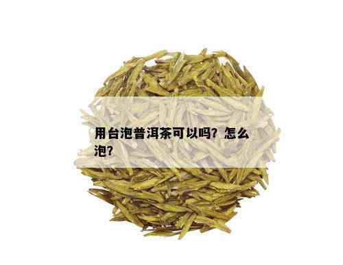 用台泡普洱茶可以吗？怎么泡？