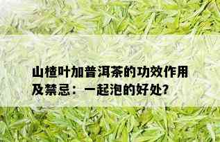 山楂叶加普洱茶的功效作用及禁忌：一起泡的好处？