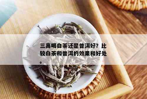 三高喝白茶还是普洱好？比较白茶和普洱的效果和好处。