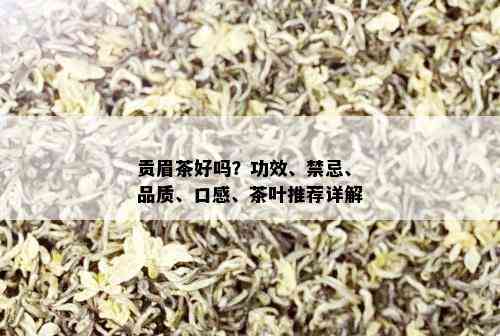 贡眉茶好吗？功效、禁忌、品质、口感、茶叶推荐详解