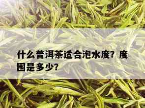 什么普洱茶适合泡水度？度围是多少？