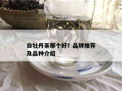 白牡丹茶那个好？品牌推荐及品种介绍