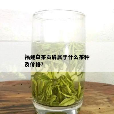 福建白茶贡眉属于什么茶种及价格？