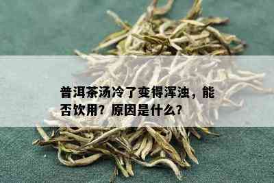 普洱茶汤冷了变得浑浊，能否饮用？原因是什么？