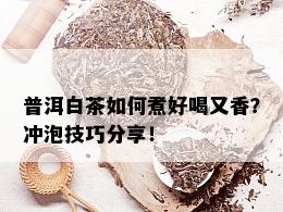 普洱白茶如何煮好喝又香？冲泡技巧分享！