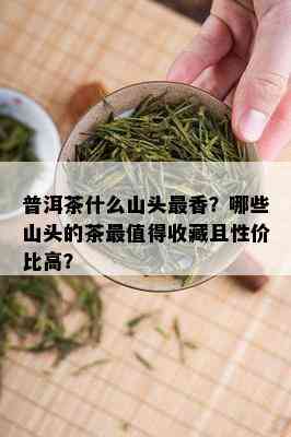 普洱茶什么山头最香？哪些山头的茶最值得收藏且性价比高？