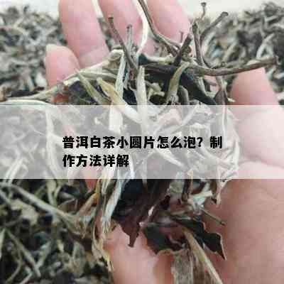 普洱白茶小圆片怎么泡？制作方法详解