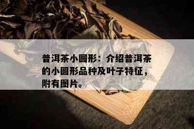 普洱茶小圆形：介绍普洱茶的小圆形品种及叶子特征，附有图片。