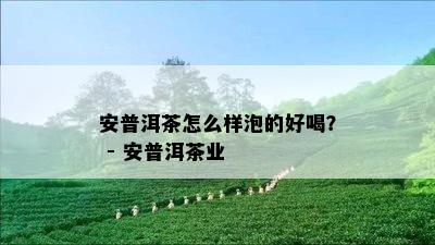 安普洱茶怎么样泡的好喝？ - 安普洱茶业