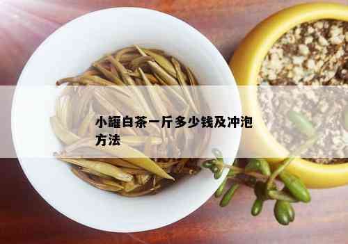 小罐白茶一斤多少钱及冲泡方法