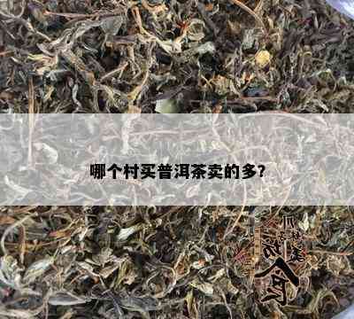 哪个村买普洱茶卖的多？