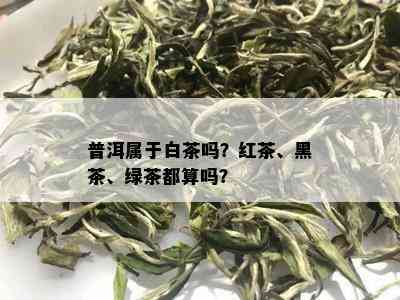 普洱属于白茶吗？红茶、黑茶、绿茶都算吗？