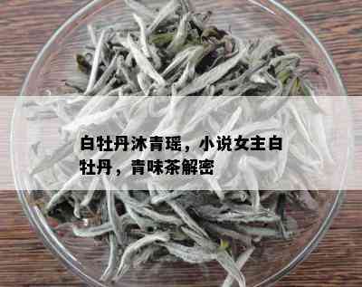 白牡丹沐青瑶，小说女主白牡丹，青味茶解密