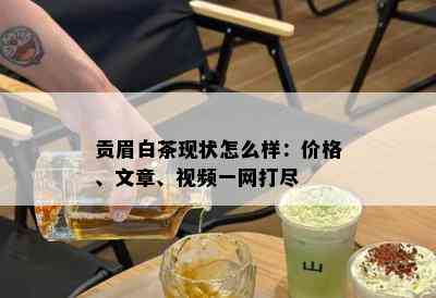 贡眉白茶现状怎么样：价格、文章、视频一网打尽