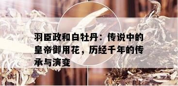 羽臣政和白牡丹：传说中的皇帝御用花，历经千年的传承与演变