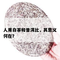 人用白茶和普洱比，其意义何在？