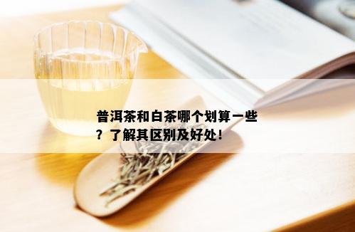 普洱茶和白茶哪个划算一些？了解其区别及好处！