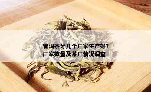 普洱茶分几个厂家生产好？厂家数量及茶厂情况调查