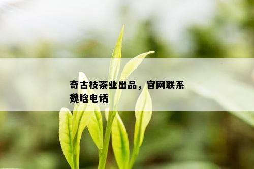 奇古枝茶业出品，官网联系魏晗电话