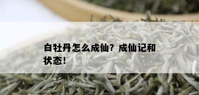 白牡丹怎么成仙？成仙记和状态！