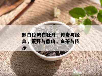 鼎白惊鸿白牡丹：传奇与经典，荒野与鼎山，白茶与传承