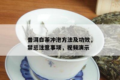 普洱白茶冲泡方法及功效，禁忌注意事项，视频演示