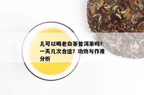 儿可以喝老白茶普洱茶吗？一天几次合适？功效与作用分析