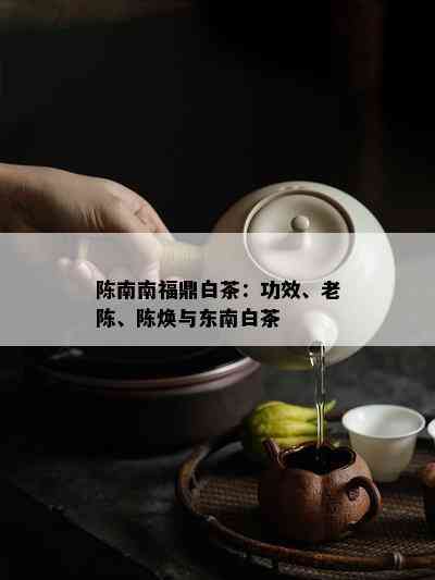 陈南南福鼎白茶：功效、老陈、陈焕与东南白茶