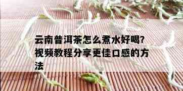 云南普洱茶怎么煮水好喝？视频教程分享更佳口感的方法