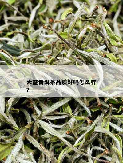 大益普洱茶品质好吗怎么样？