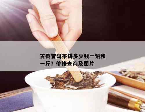 古树普洱茶饼多少钱一饼和一斤？价格查询及图片