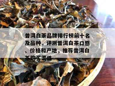 普洱白茶品牌排行榜前十名及品种，评测普洱白茶口感、价格和产地，推荐普洱白茶购买渠道