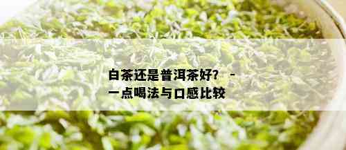 白茶还是普洱茶好？ - 一点喝法与口感比较