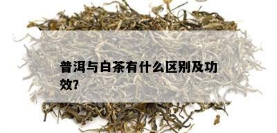 普洱与白茶有什么区别及功效？