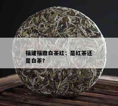 福建福鼎白茶红：是红茶还是白茶？