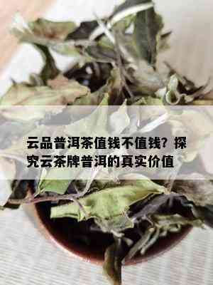 云品普洱茶值钱不值钱？探究云茶牌普洱的真实价值