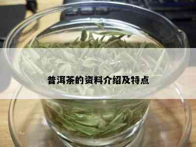 普洱茶的资料介绍及特点