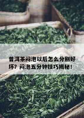 普洱茶闷泡以后怎么分别好坏？闷泡五分钟技巧揭秘！